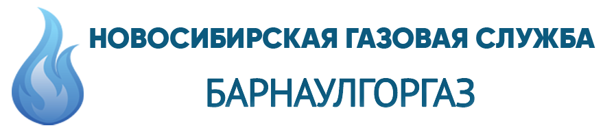 РЕМОНТ, УСТАНОВКА И ОБСЛУЖИВАНИЕ ГАЗОВЫХ КОТЛОВ В НОВОСИБИРСКЕ 